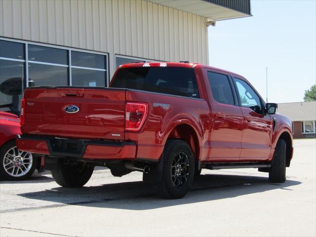 used 2023 Ford F-150 car, priced at $36,000