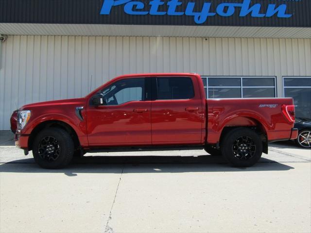 used 2023 Ford F-150 car, priced at $36,000