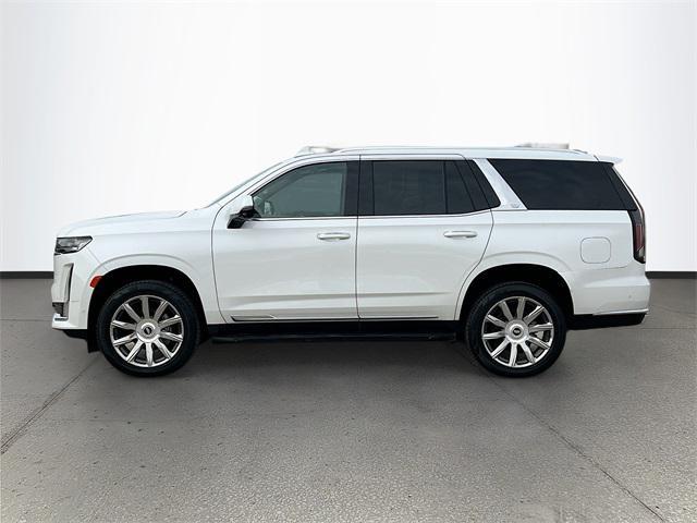 used 2021 Cadillac Escalade car, priced at $64,500