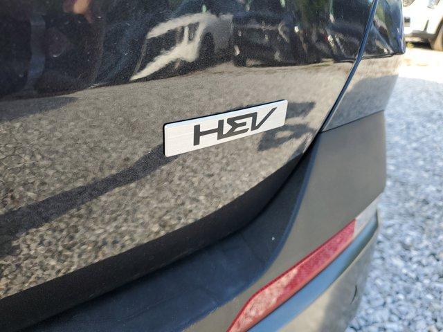 new 2025 Kia Carnival Hybrid car, priced at $48,100