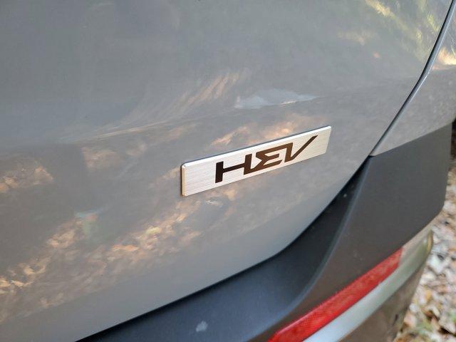 new 2025 Kia Carnival Hybrid car, priced at $51,595