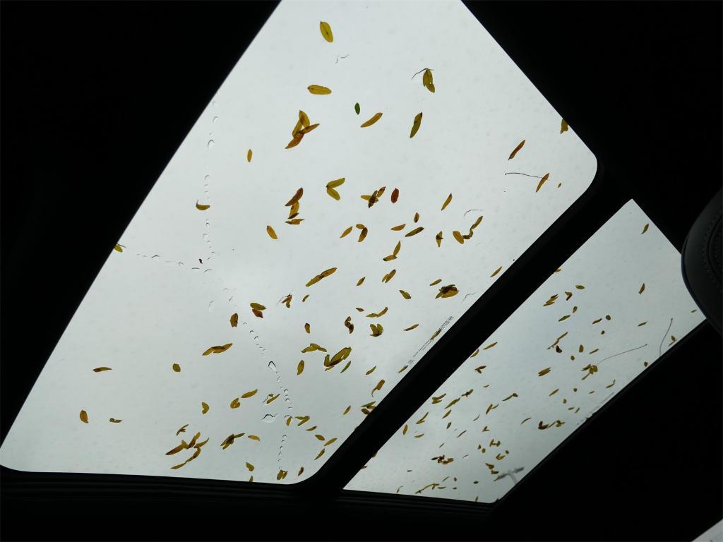 new 2026 Buick Enclave car, priced at $63,955