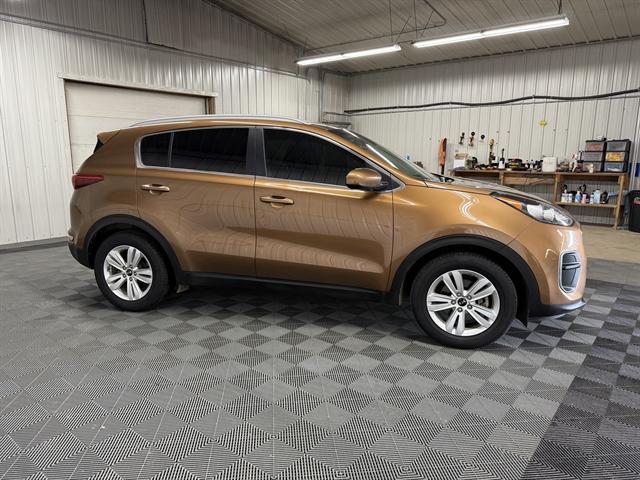used 2019 Kia Sportage car