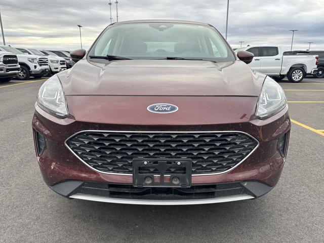 used 2021 Ford Escape car, priced at $21,000