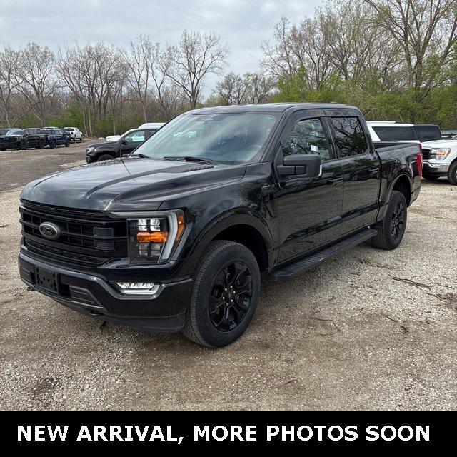used 2023 Ford F-150 car