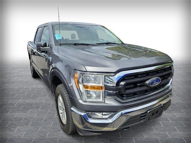 used 2021 Ford F-150 car