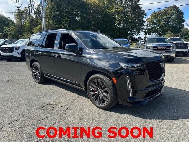 used 2024 Cadillac Escalade car, priced at $131,995