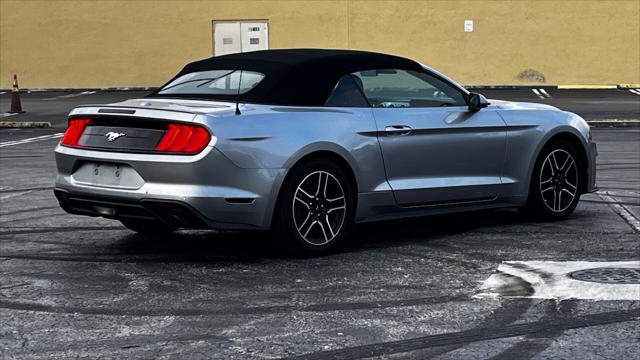 used 2022 Ford Mustang car, priced at $19,499