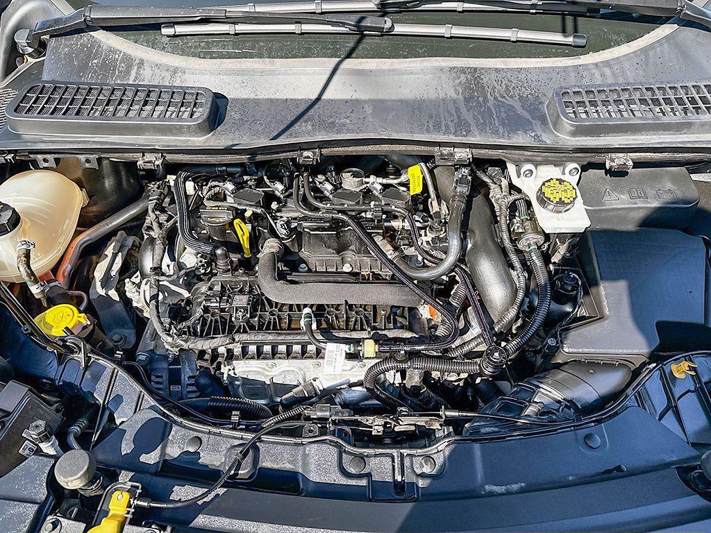 used 2019 Ford Escape car, priced at $12,990
