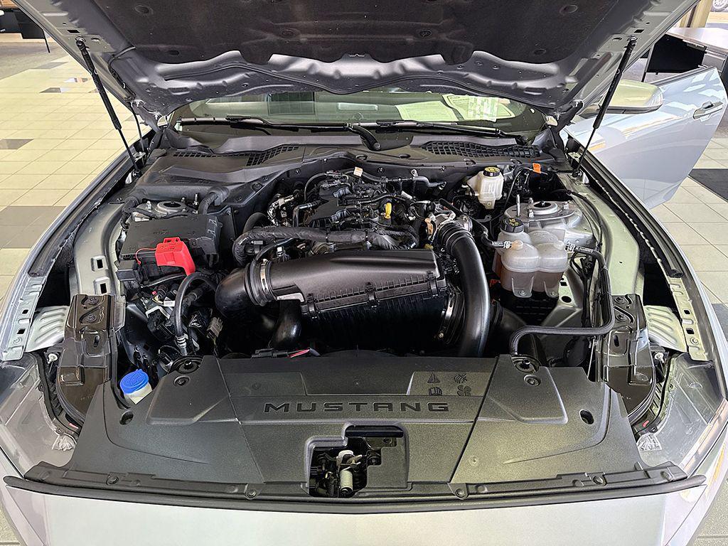 used 2024 Ford Mustang car, priced at $27,390
