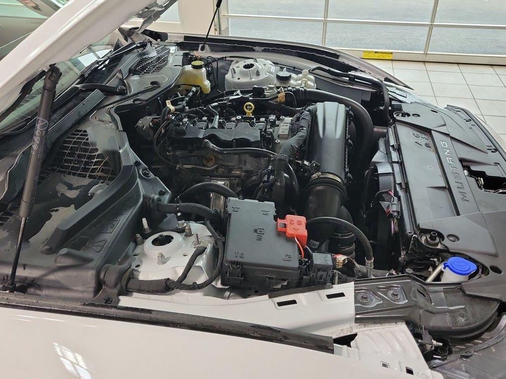 used 2024 Ford Mustang car, priced at $34,000