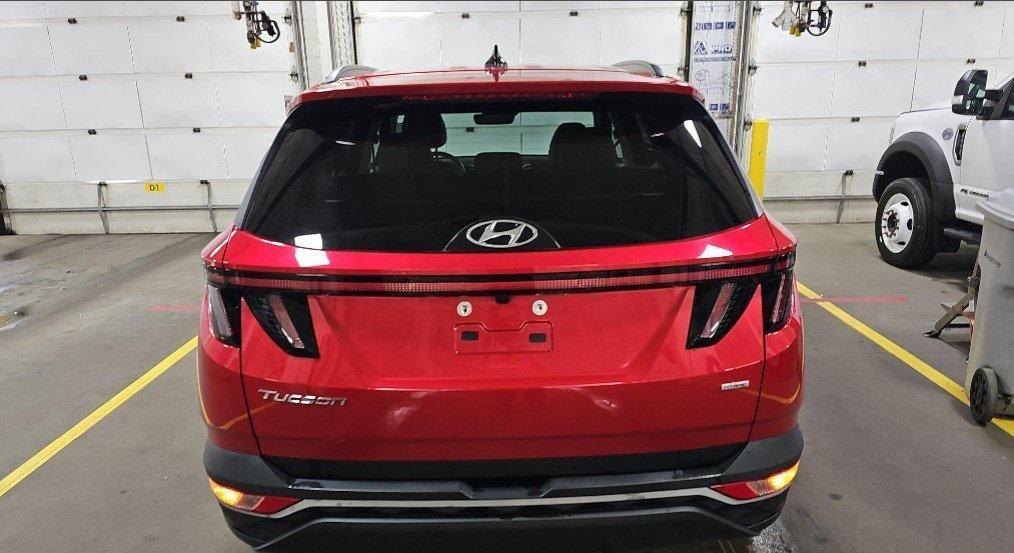 used 2023 Hyundai Tucson car, priced at $24,500