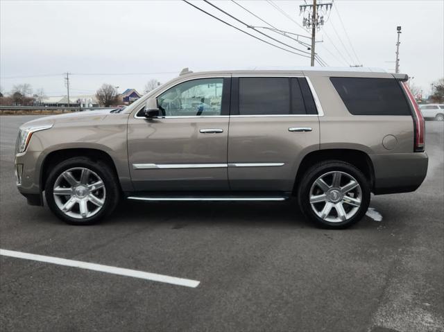 used 2019 Cadillac Escalade car, priced at $31,294