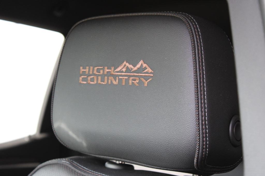 used 2022 Chevrolet Silverado 1500 car, priced at $48,865