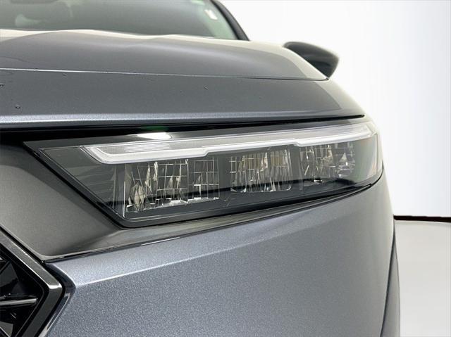 used 2025 Honda Accord car, priced at $29,987
