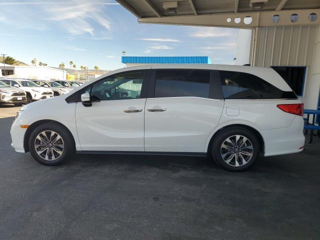used 2024 Honda Odyssey car, priced at $39,441