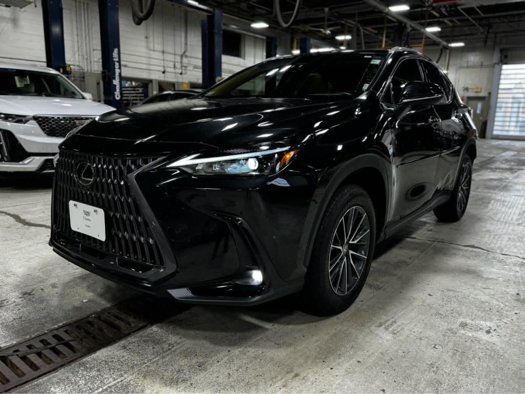 used 2025 Lexus NX 350 car, priced at $42,987