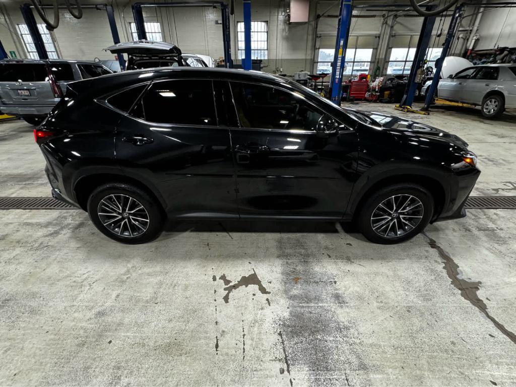 used 2025 Lexus NX 350 car, priced at $42,987