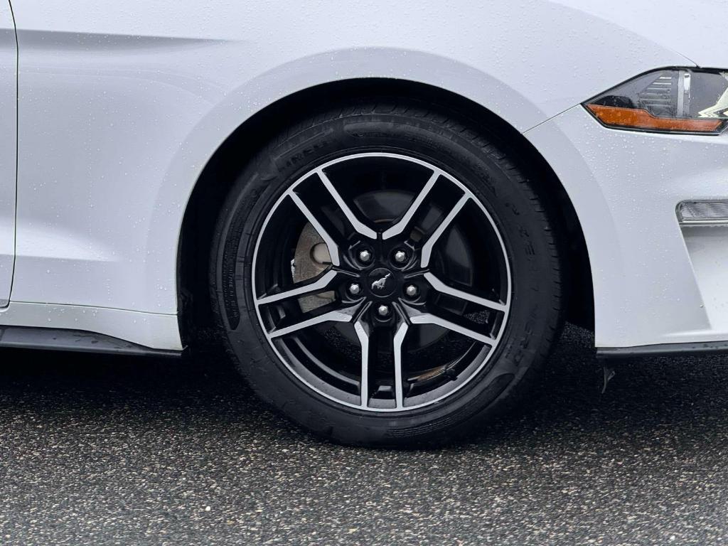 used 2019 Ford Mustang car, priced at $17,995