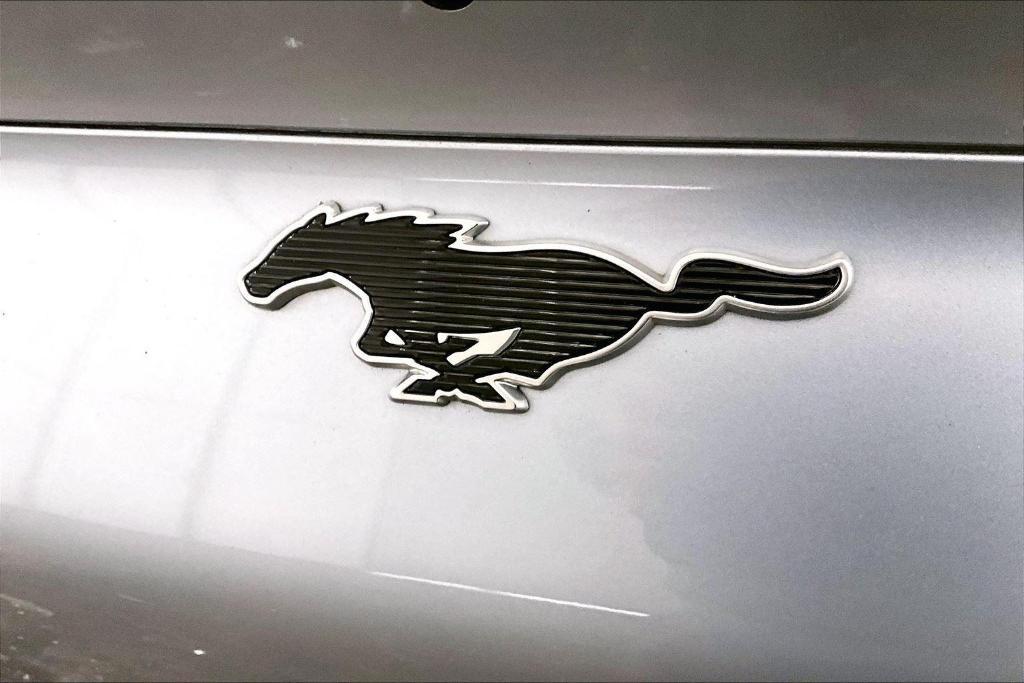 used 2022 Ford Mustang Mach-E car, priced at $25,000