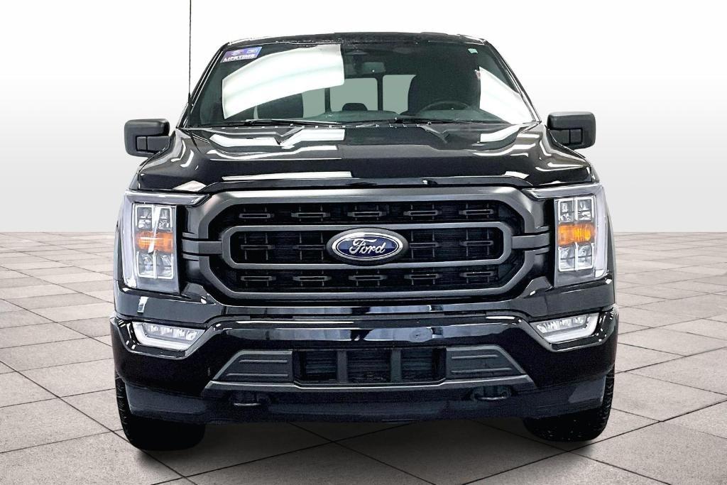used 2023 Ford F-150 car, priced at $44,500