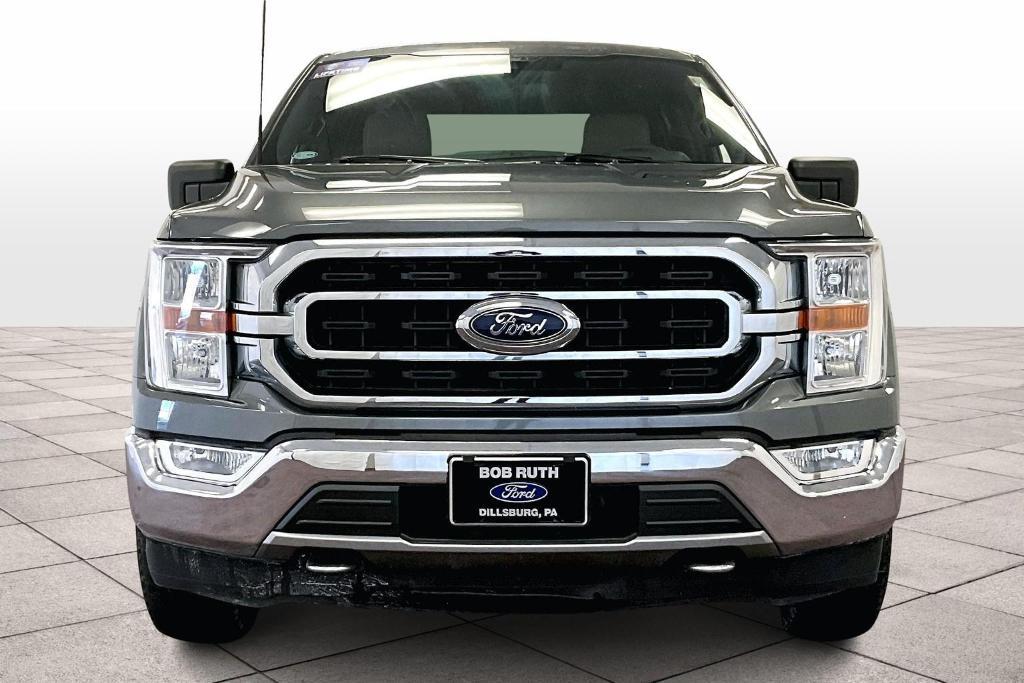 used 2021 Ford F-150 car, priced at $36,000