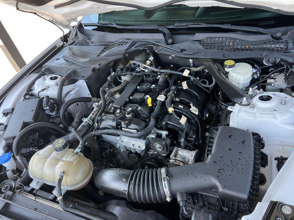used 2021 Ford Mustang car, priced at $19,899