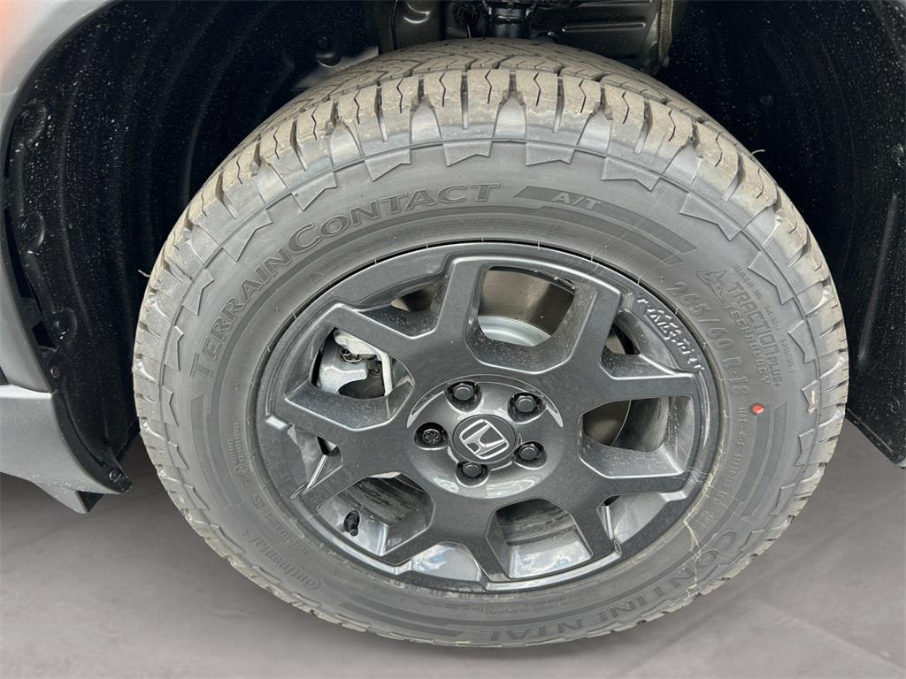 new 2025 Honda Pilot car, priced at $50,895