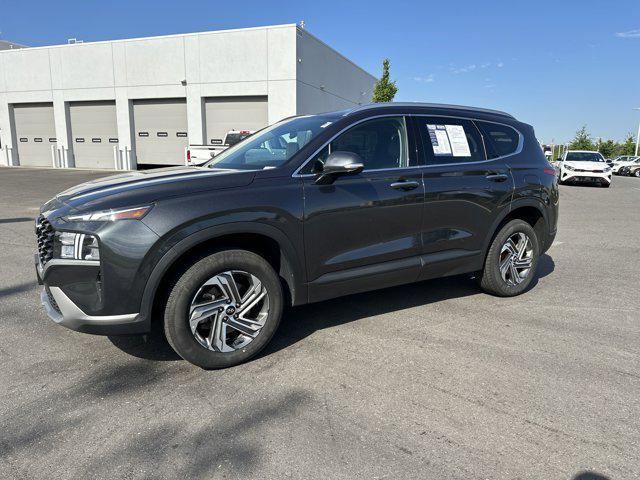 used 2023 Hyundai Santa Fe car, priced at $25,589