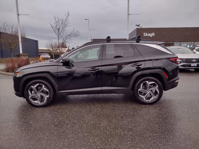 used 2024 Hyundai Tucson Hybrid car, priced at $37,999