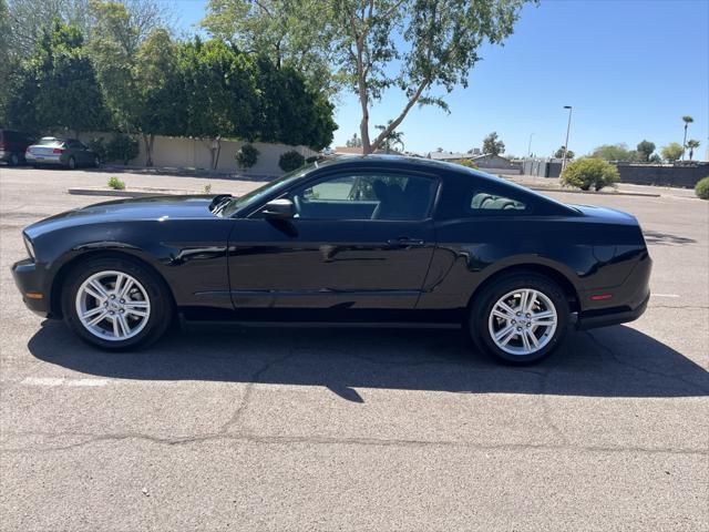 used 2010 Ford Mustang car, priced at $10,500