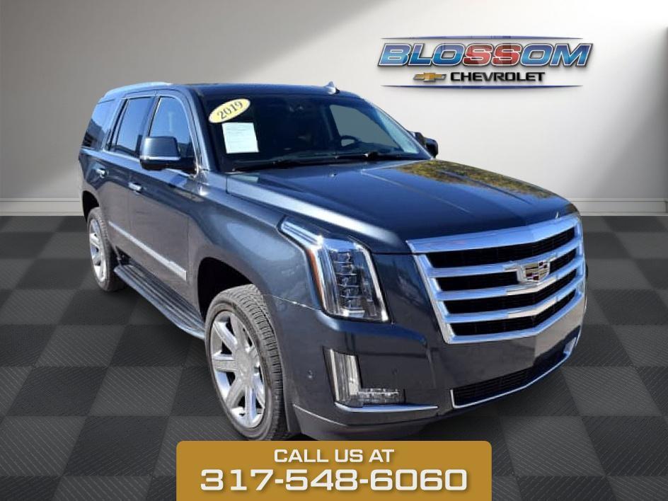 used 2019 Cadillac Escalade car, priced at $32,864