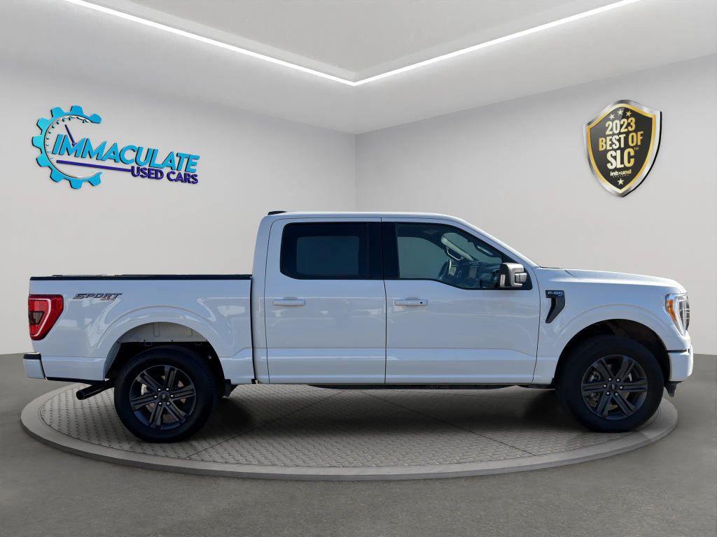 used 2023 Ford F-150 car