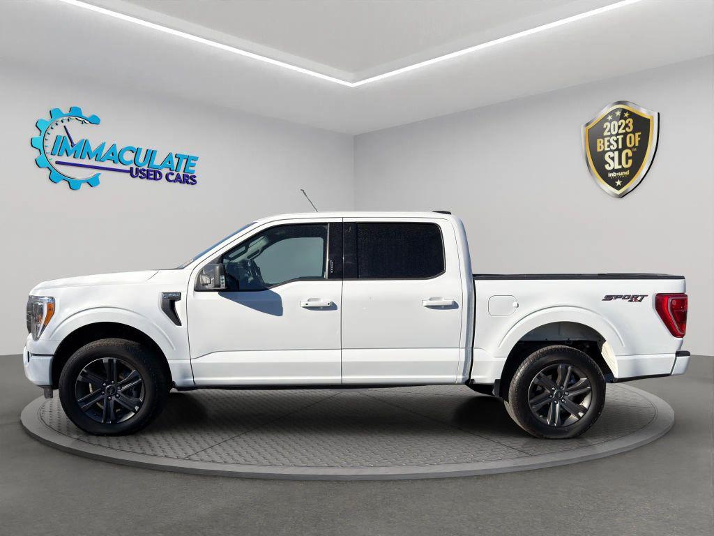 used 2023 Ford F-150 car