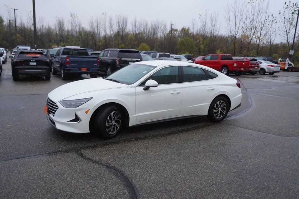 used 2023 Hyundai Sonata Hybrid car, priced at $25,999