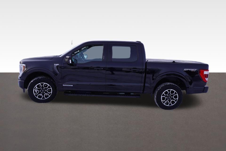 used 2021 Ford F-150 car, priced at $34,461