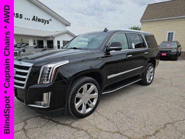 used 2019 Cadillac Escalade car, priced at $33,000