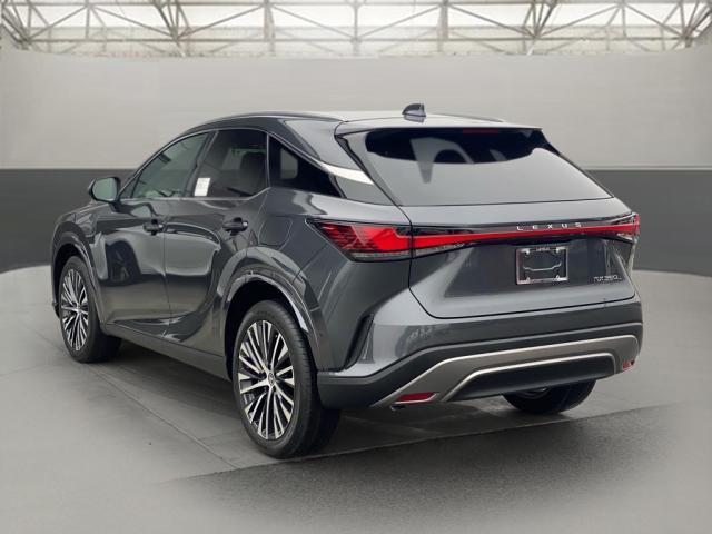 new 2025 Lexus RX 350 car, priced at $59,935