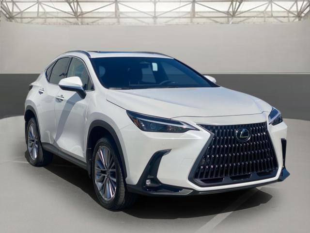 new 2025 Lexus NX 350 car, priced at $53,585