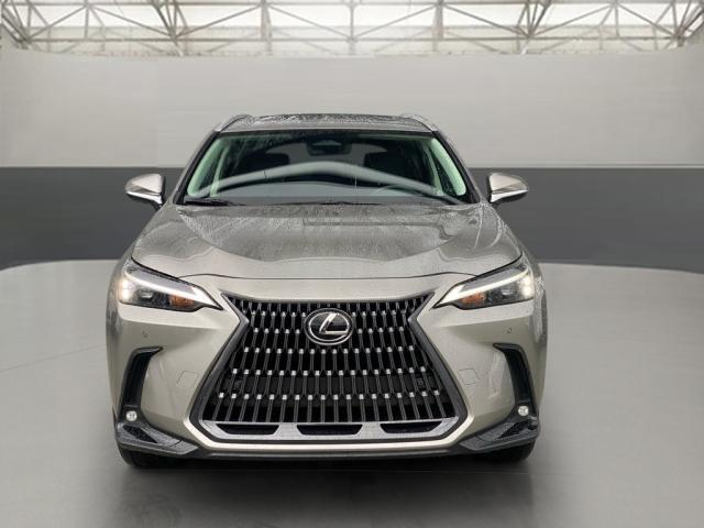 used 2024 Lexus NX 250 car, priced at $44,950