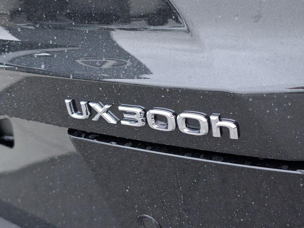 new 2025 Lexus UX 300h car, priced at $42,555