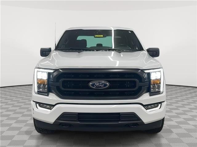 used 2023 Ford F-150 car, priced at $36,655