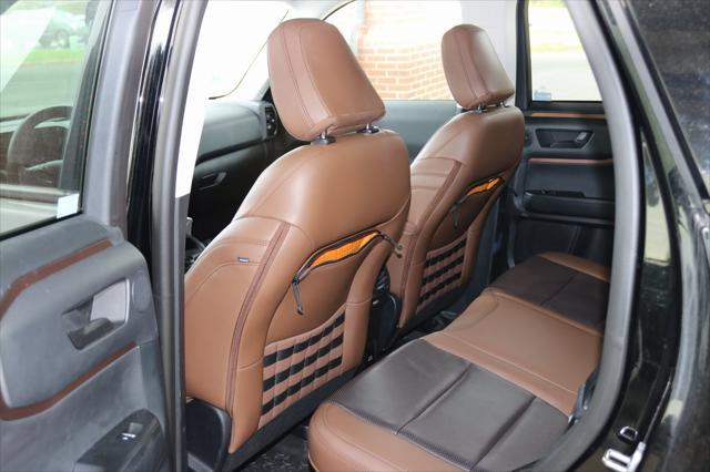used 2023 Ford Bronco Sport car