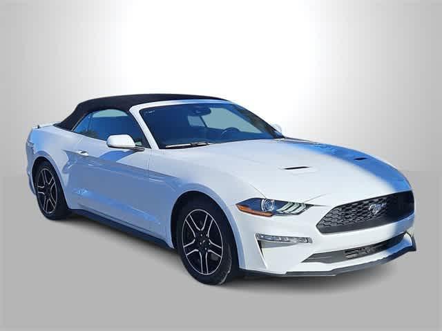 used 2022 Ford Mustang car, priced at $17,500