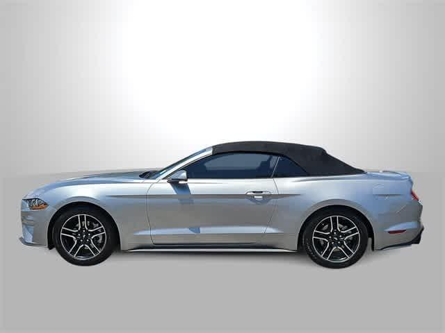 used 2020 Ford Mustang car, priced at $15,000