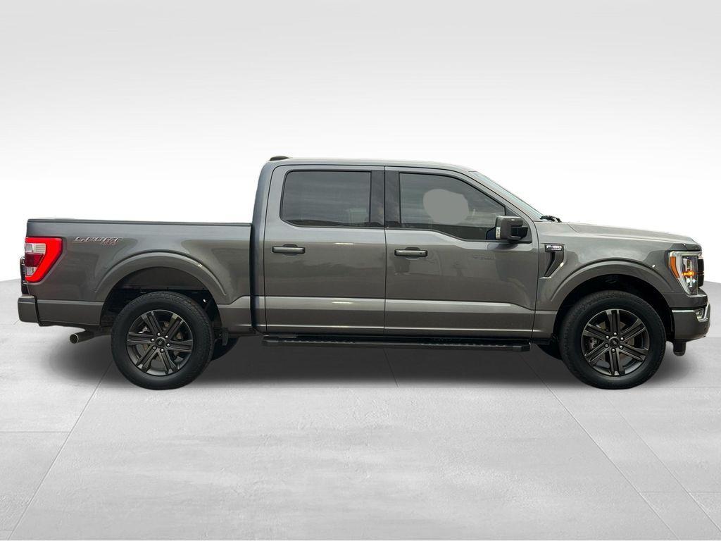used 2023 Ford F-150 car, priced at $43,823
