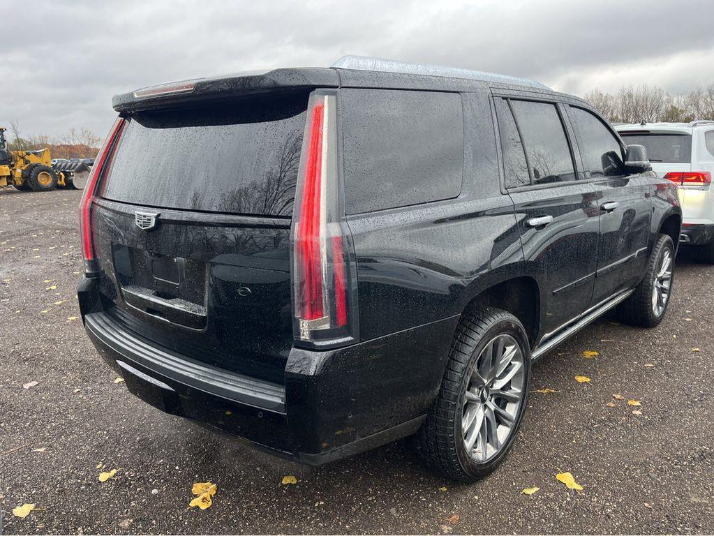 used 2020 Cadillac Escalade car, priced at $45,789