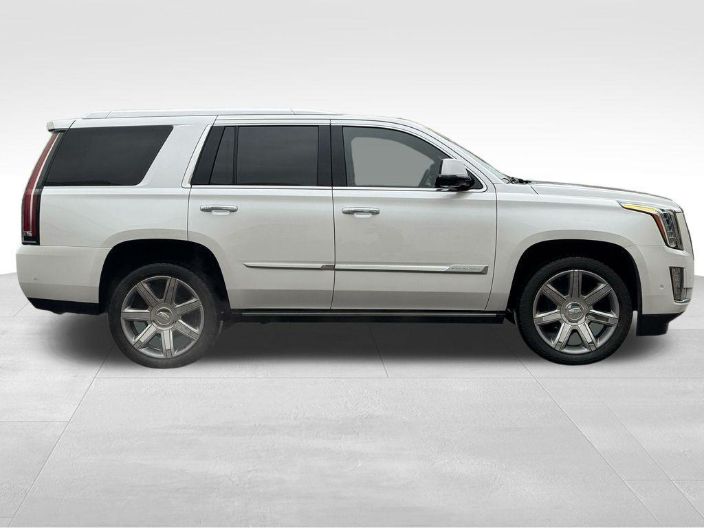 used 2019 Cadillac Escalade car, priced at $37,130