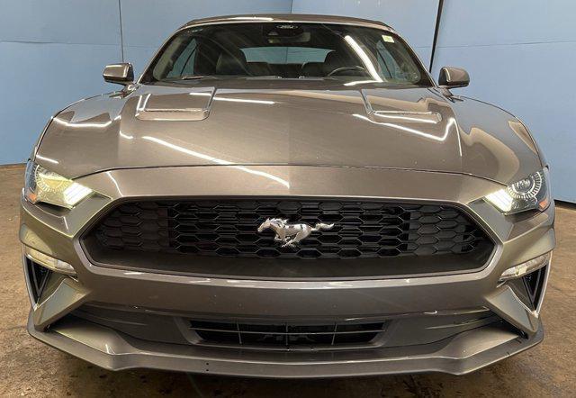 used 2022 Ford Mustang car, priced at $23,498