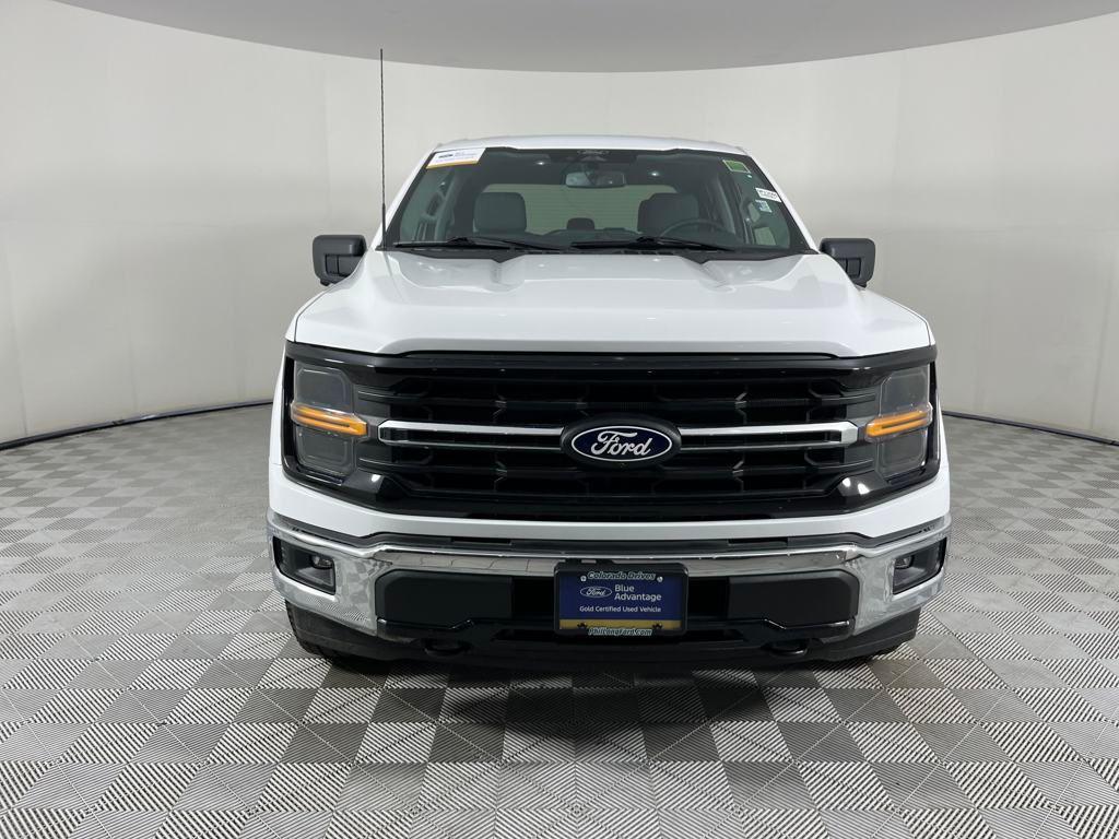 used 2024 Ford F-150 car